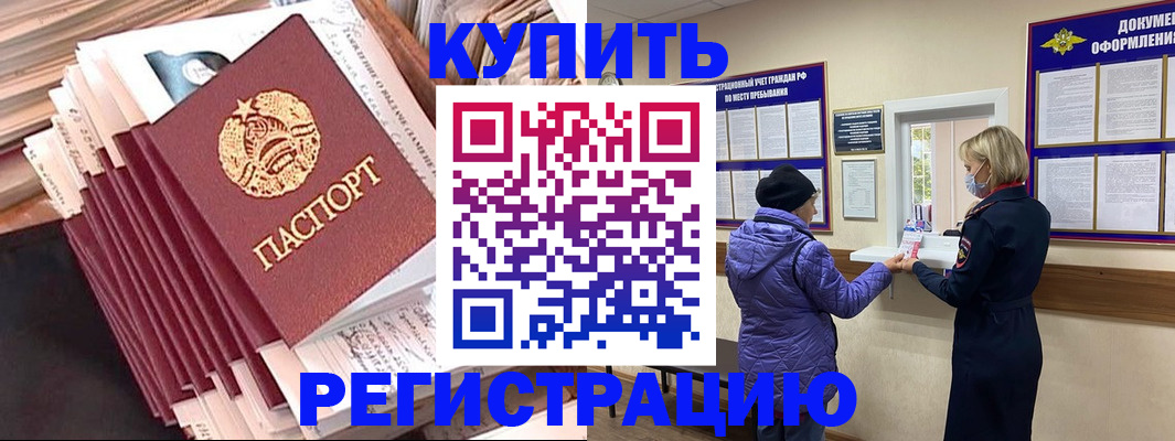 где прописаться в Коле